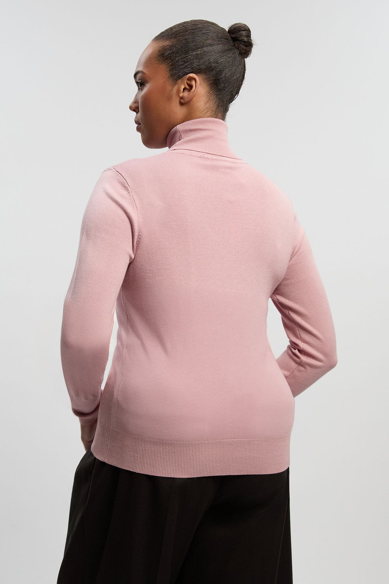 Plus Size Viscose Blend Roll Neck Knit Jumper 4