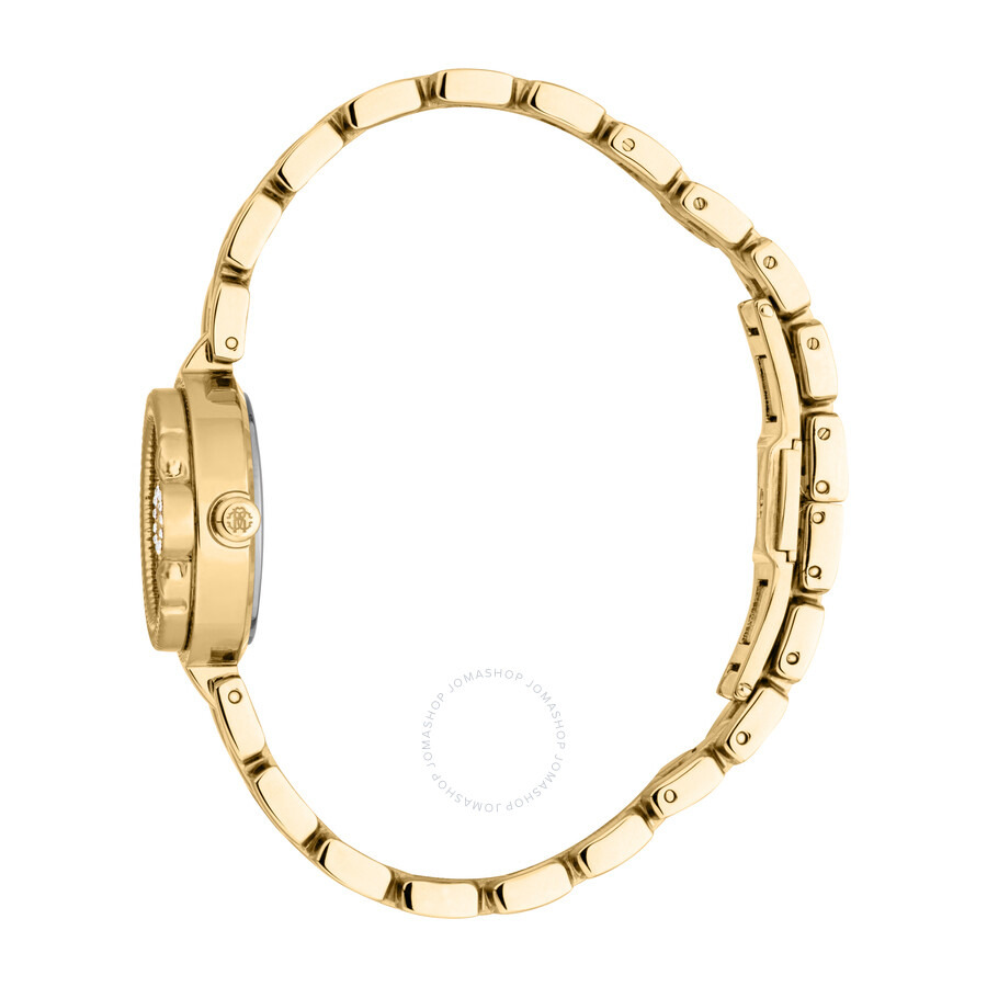 Roberto Cavalli Mini Silver-tone Dial Ladies Watch RC5L096M0025 - 3