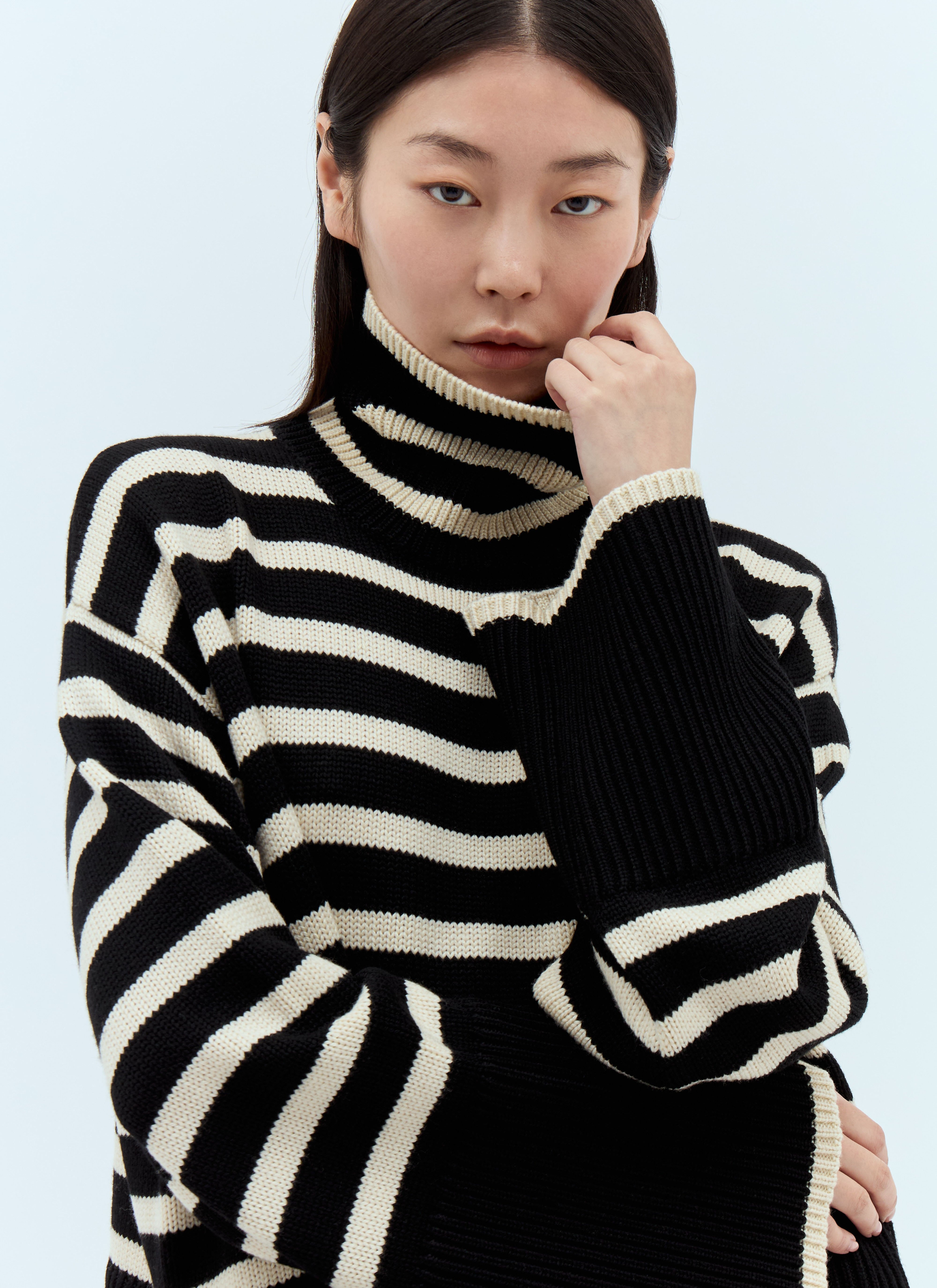 Signature Stripe Roll Neck Sweater - 3