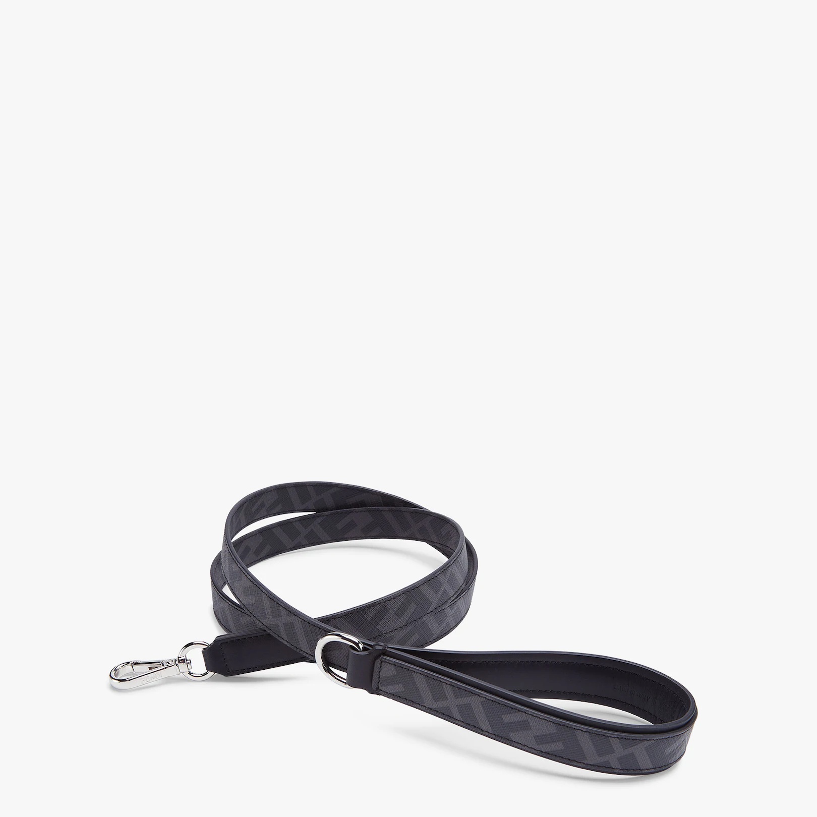 Dog Leash - 2