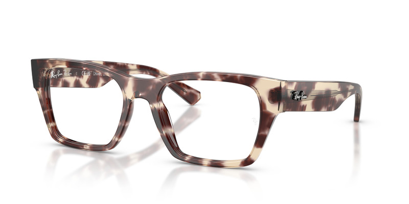 RB5448 OPTICS 1