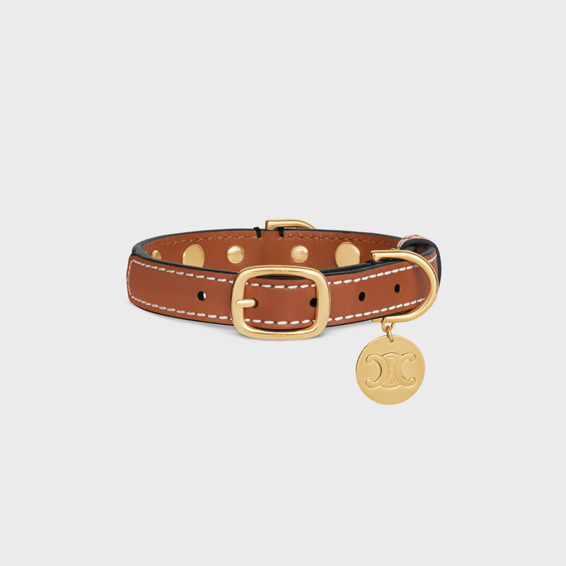 Small Thin Dog Collar in Triomphe Canvas & Calfskin with studs 1