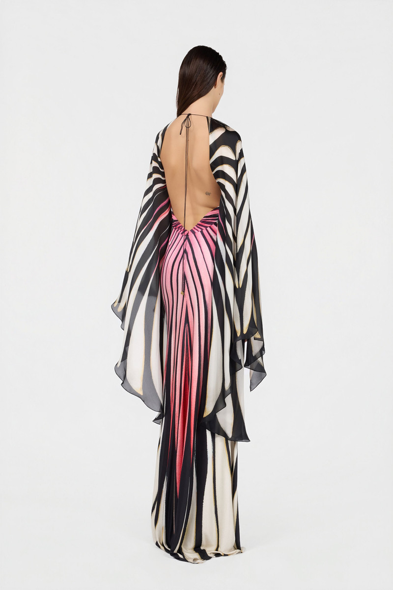 Ray Of Paradise Print Silk Maxi Dress 4