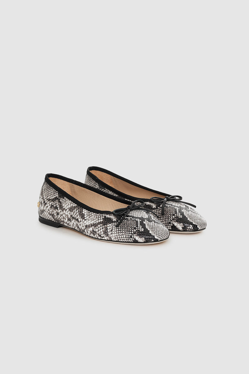 Jamie Flats - Python 4