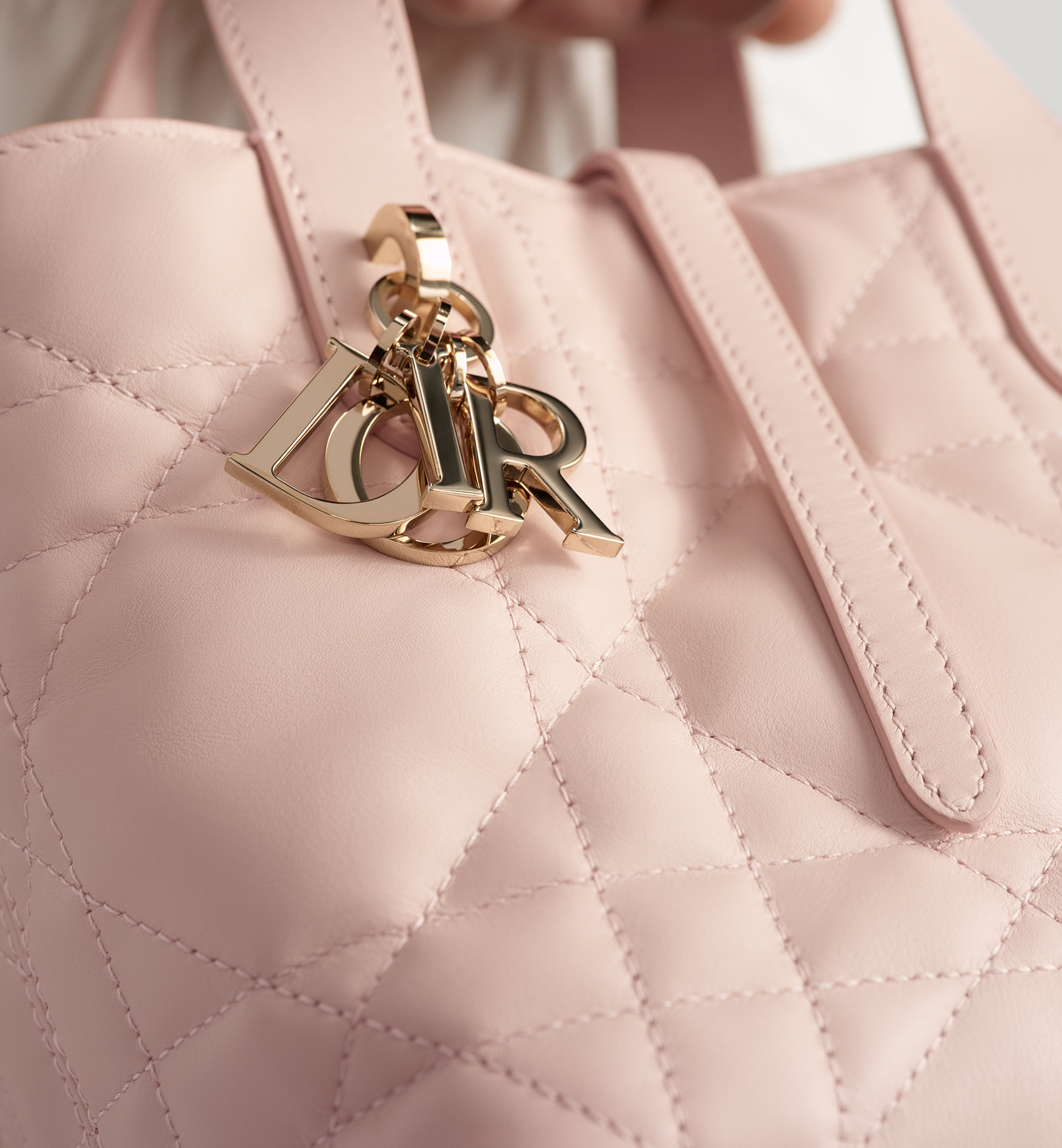 Dior Toujours Vertical Nano Tote Bag - 6