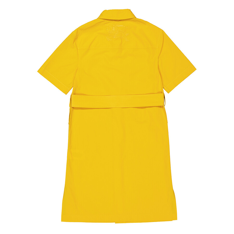 Burberry Short-Sleeve Cotton Blend Shirt Dress - 6