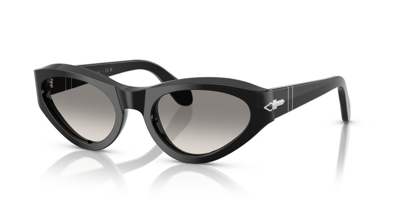 Persol PO0052S outlook