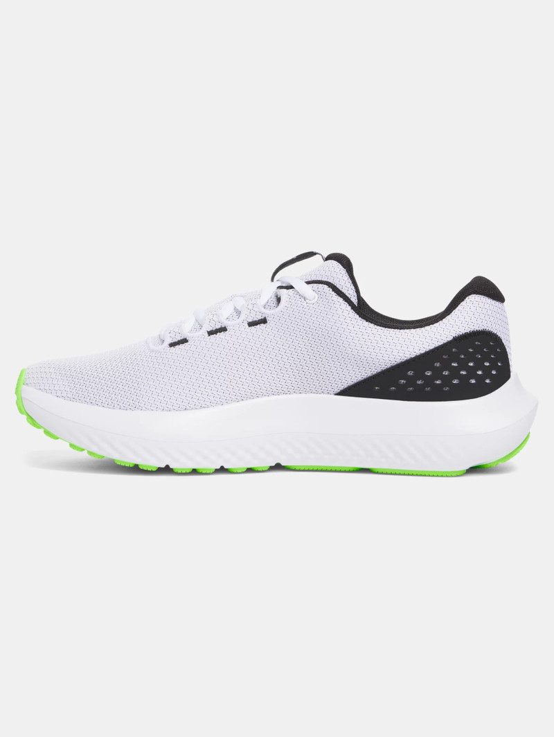 Under Armour Men's UA Surge 4 Running Shoes outlook