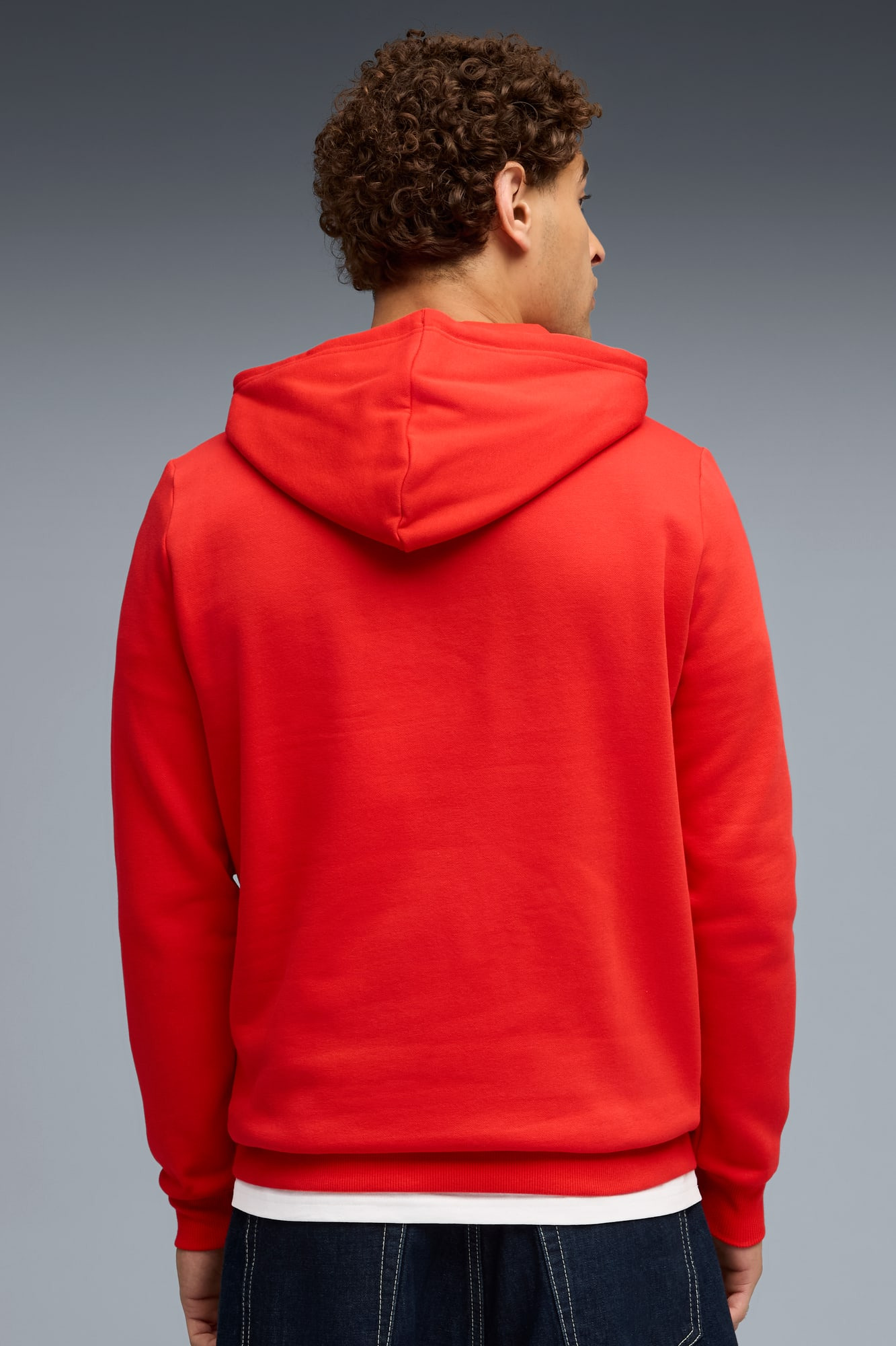 Formula 1® Motorsport Essentials Men's Hoodie - 4