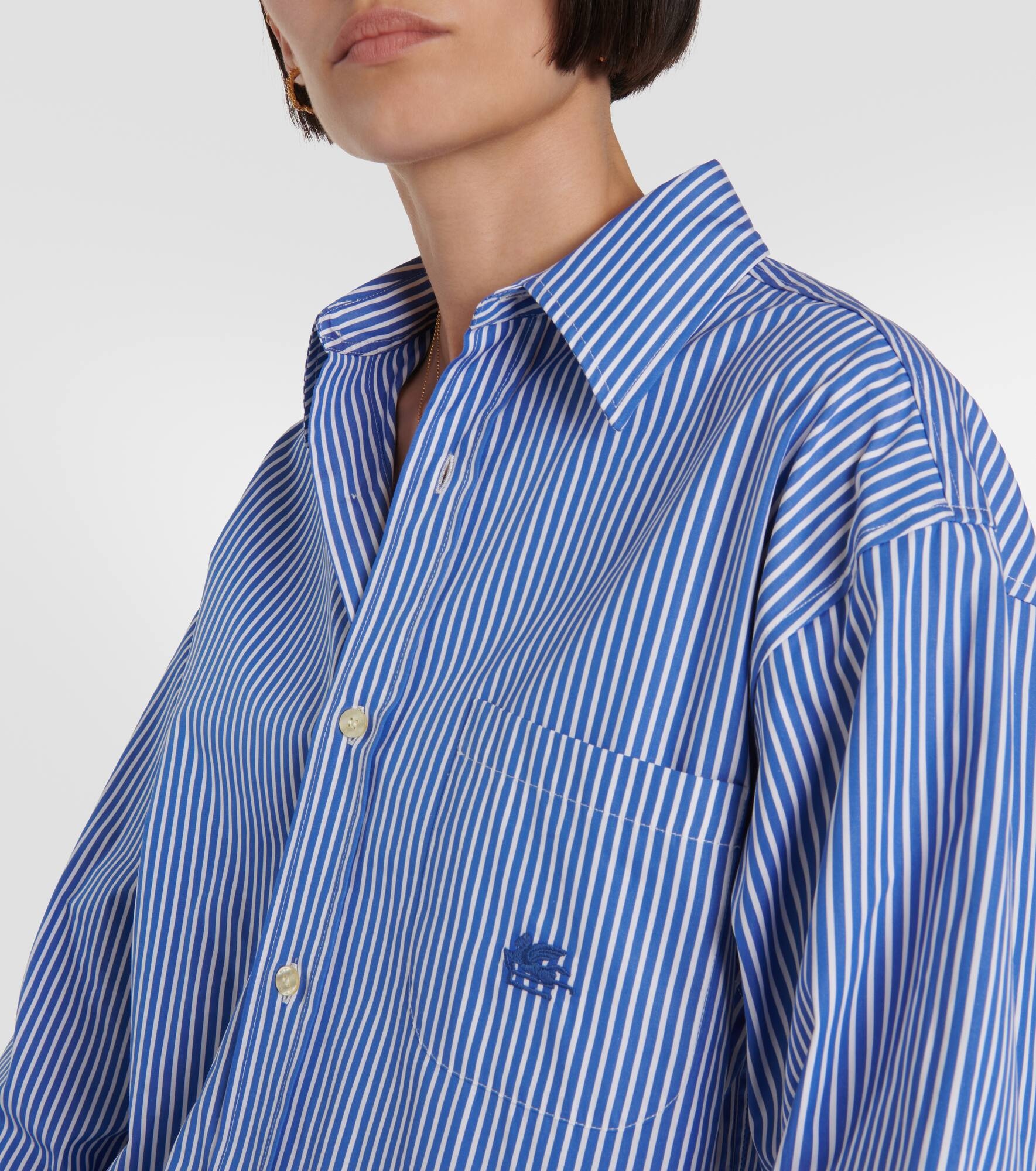 Pegaso pinstriped cotton shirt - 5