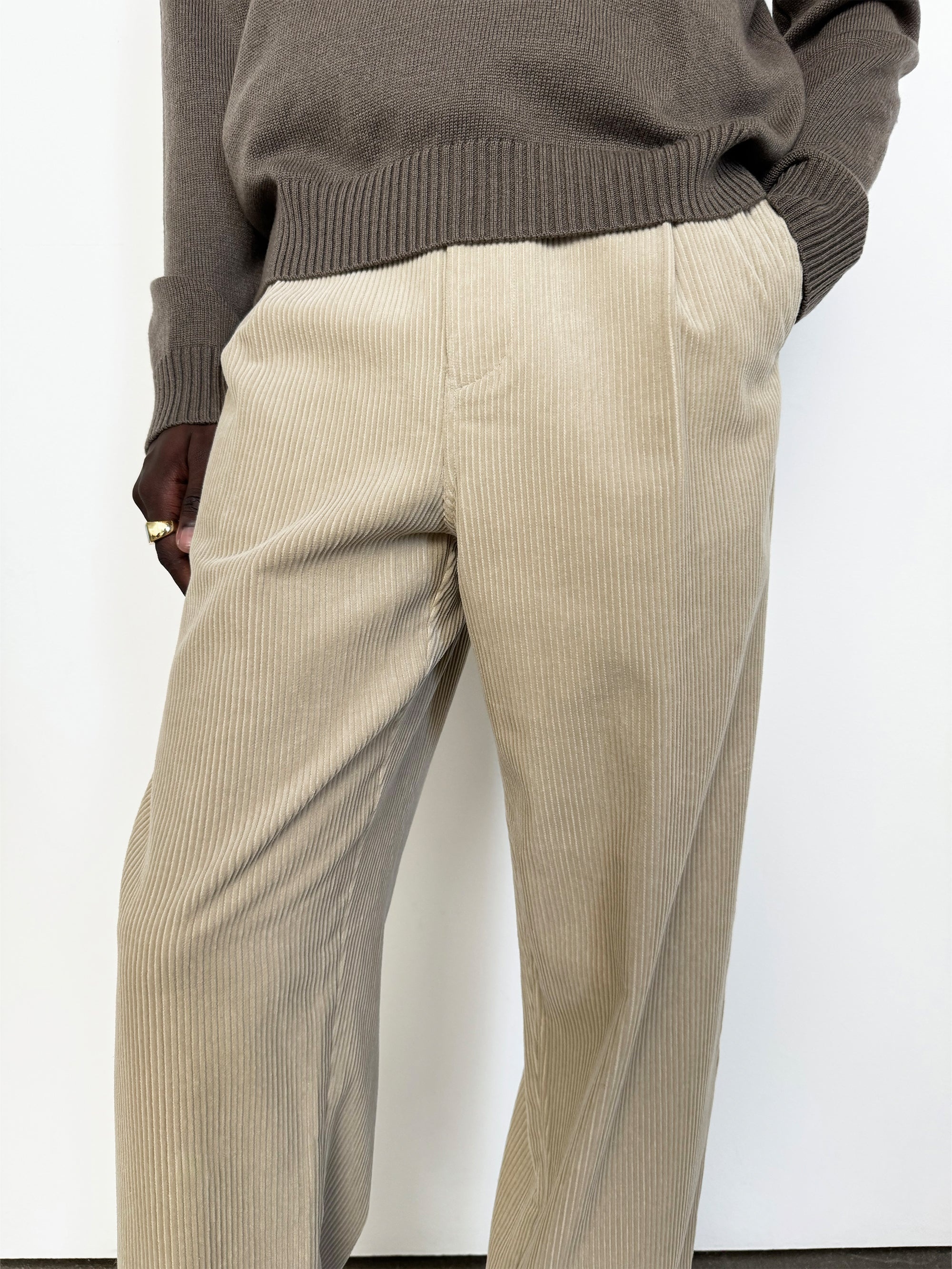 Tapered Pleated Trousers in Dove - 2