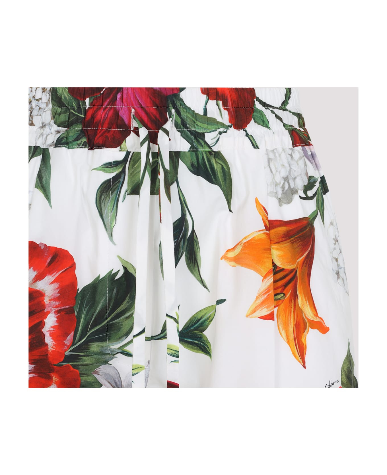 Pants - 5