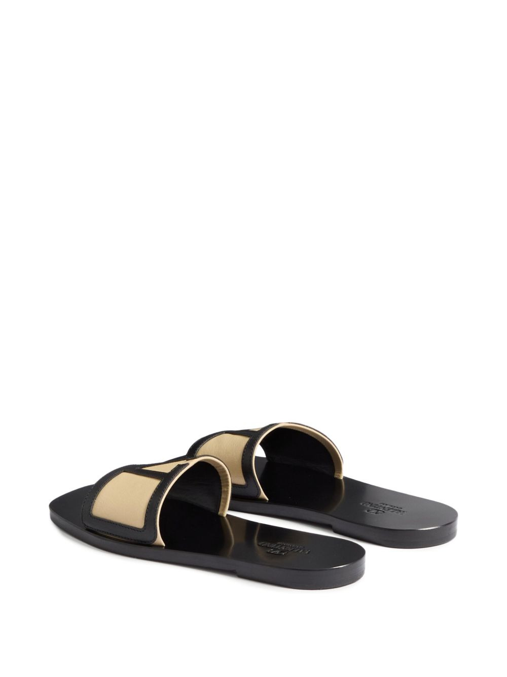 VLogo Signature slides - 3
