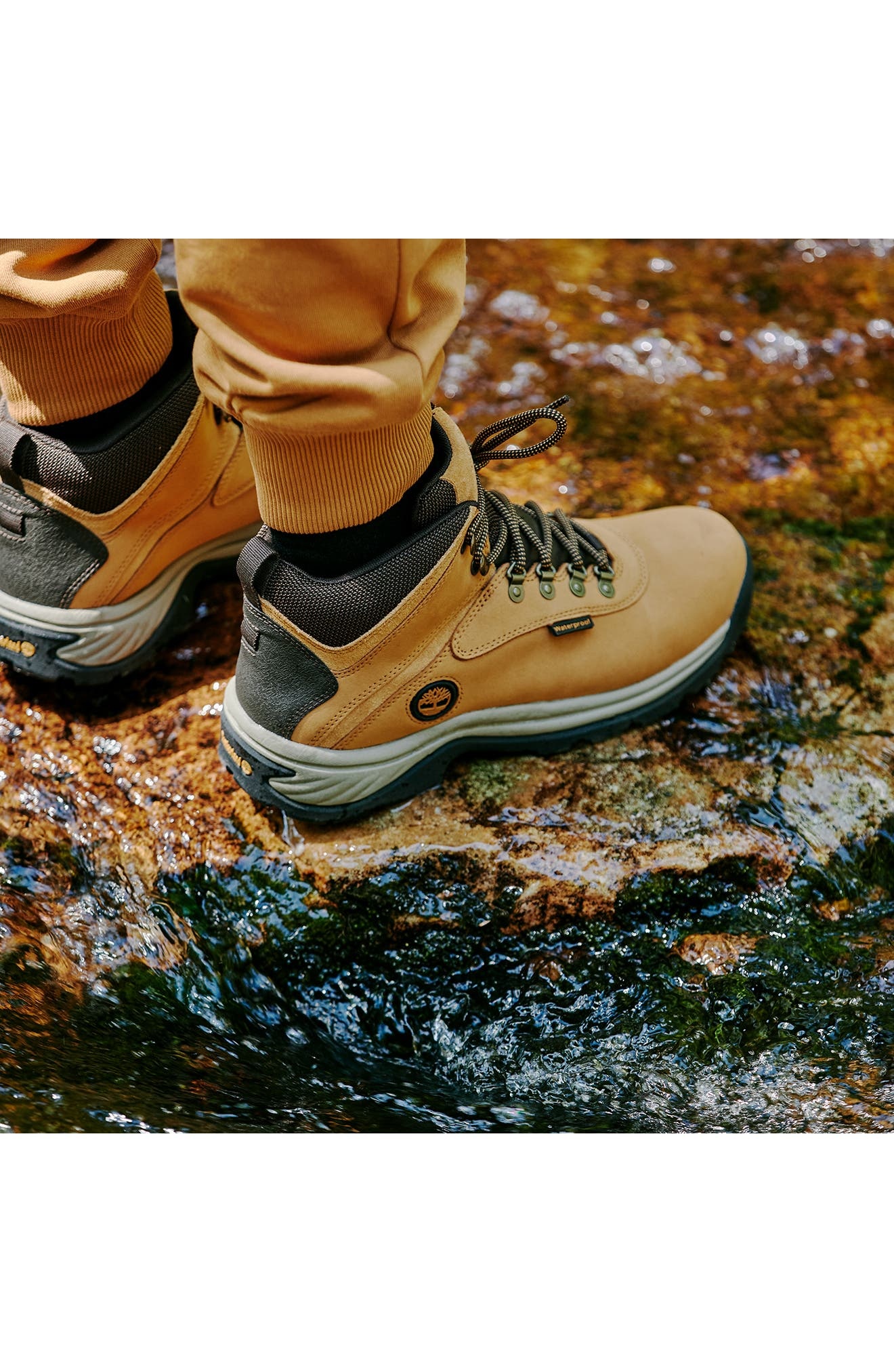 Timberland White Ledge Waterproof Hiking Boot (Men) in Wheat at Nordstrom - 9