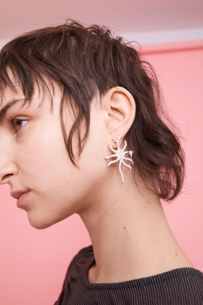 CRYSTAL CLEAR ETOILE EARRING - 4