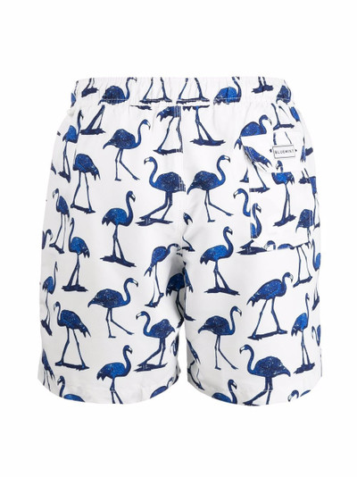 Bluemint flamingo-print swim shorts outlook