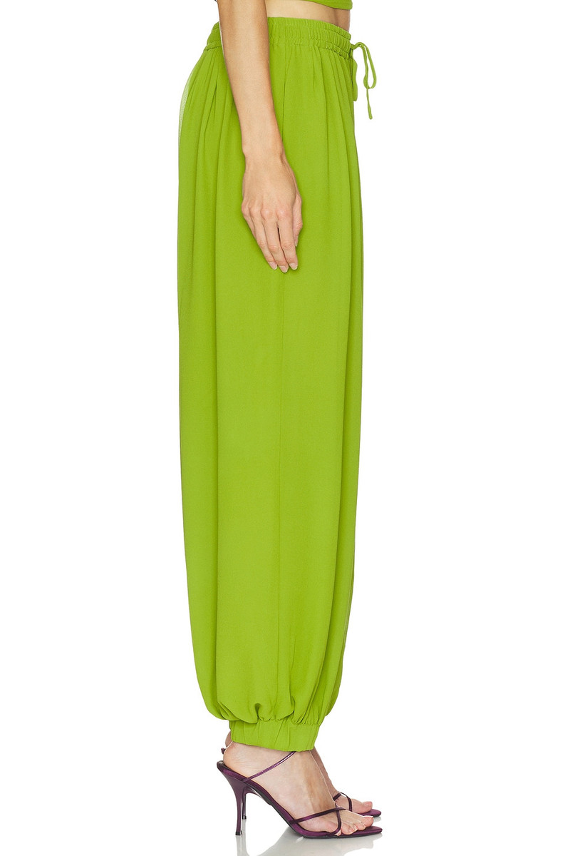 NICHOLAS Liselle Pant outlook