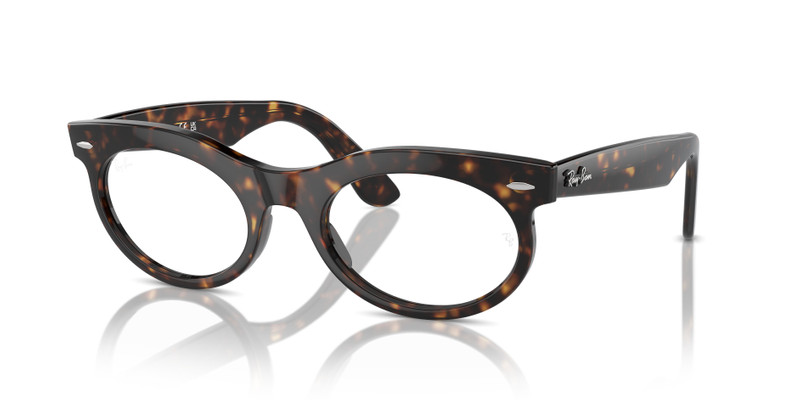 WAYFARER OVAL OPTICS 1