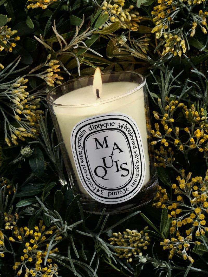 Maquis (Scrub) - Classic Candle 4