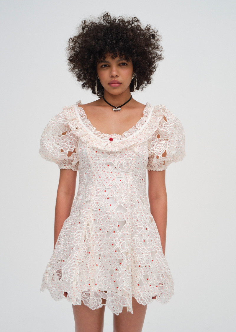 Aphrodite Embroidered Mini Dress 1