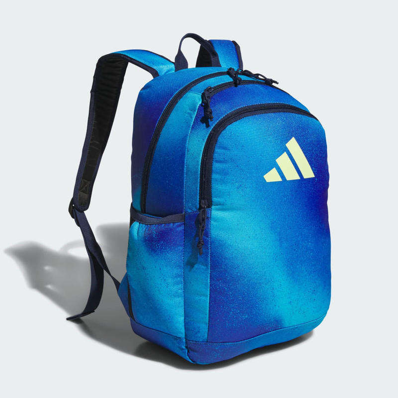 Affiliate Backpack 1