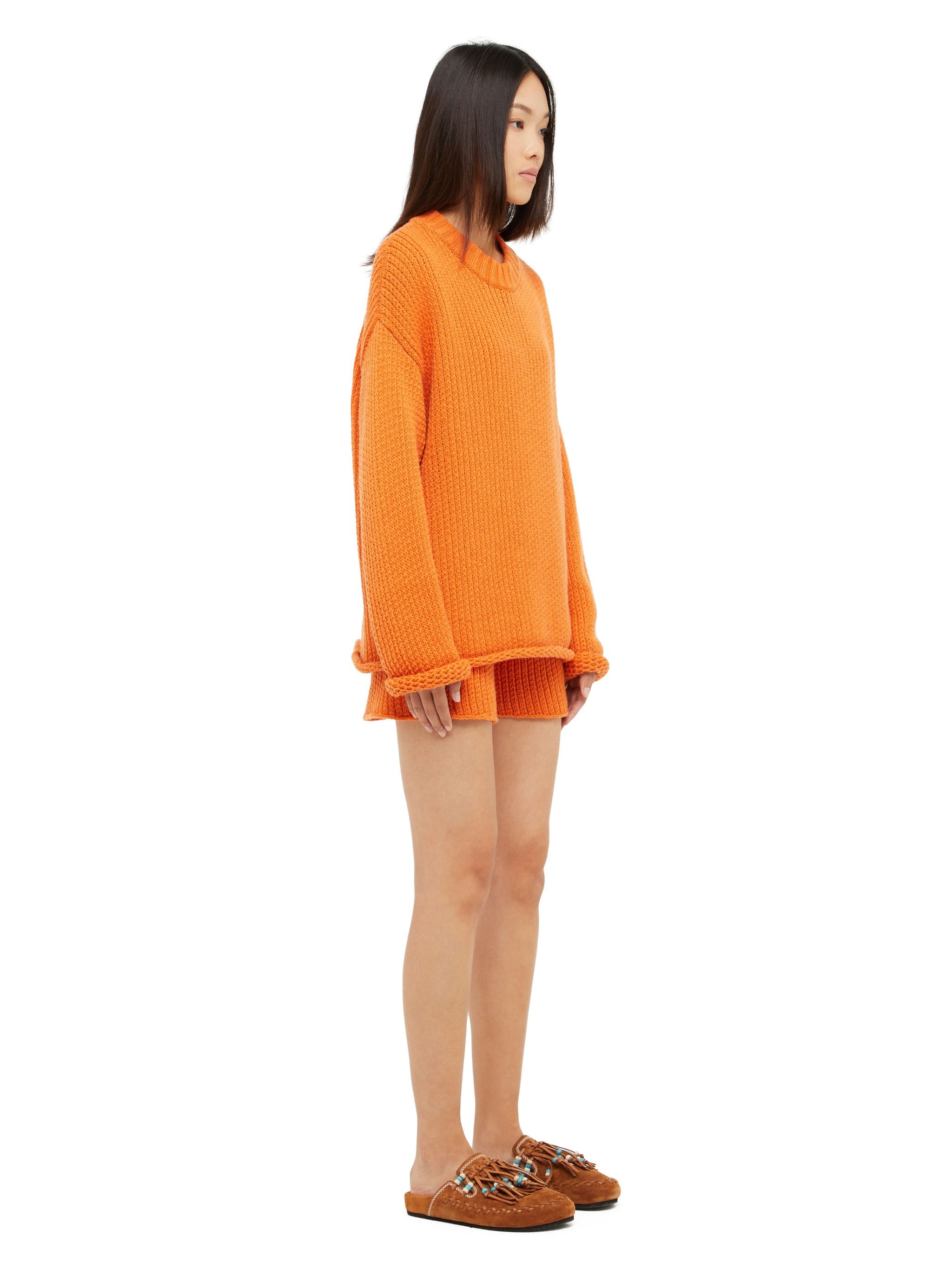 Alanui Finest Sweater - 5