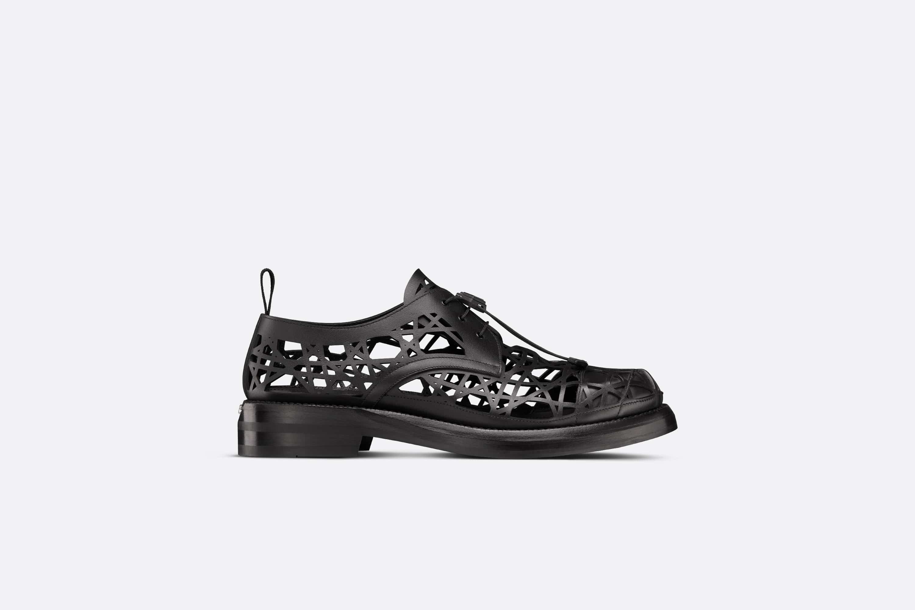 Dior Carlo Derby Shoe with Protective Cover - 1