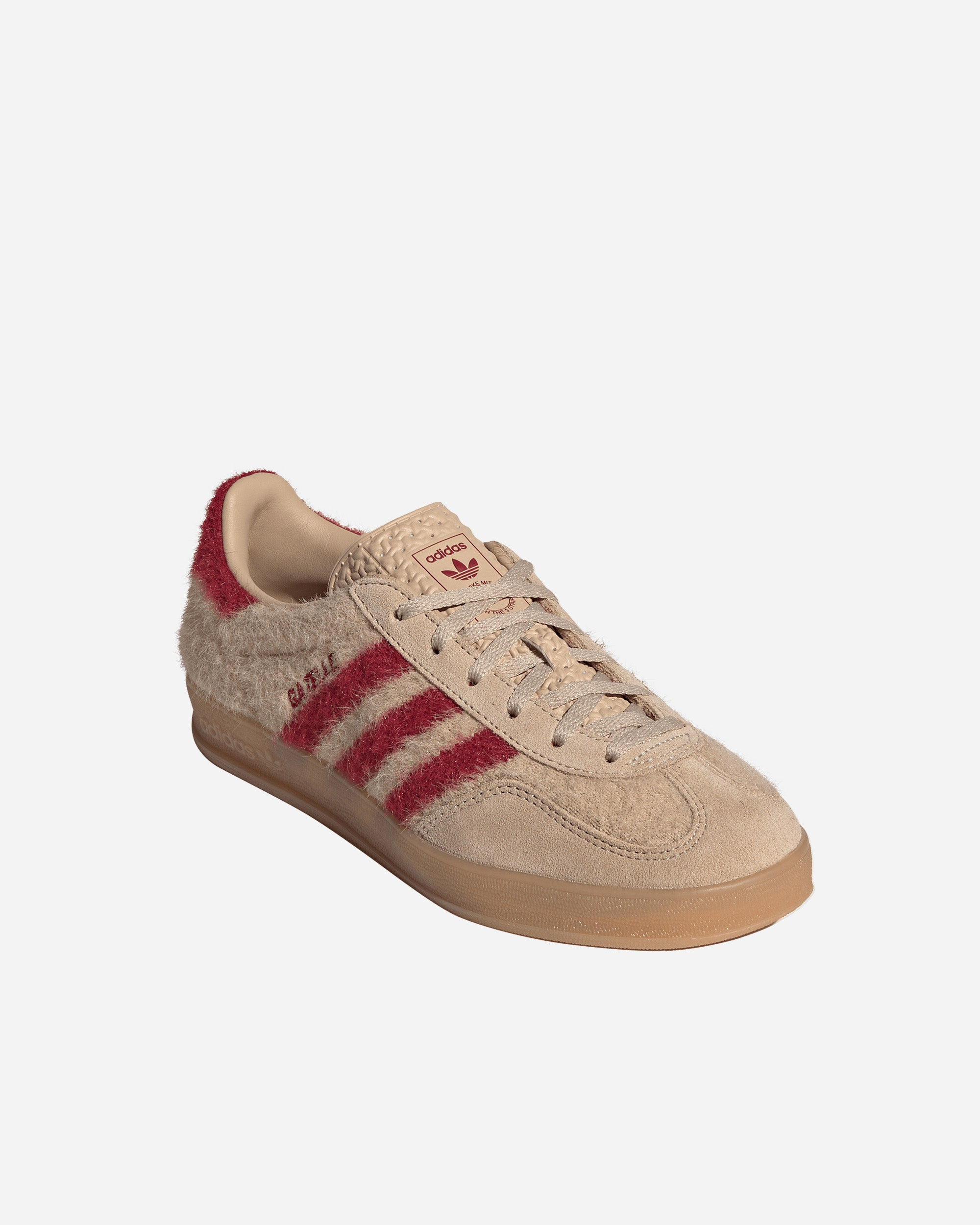Gazelle Indoor - 2