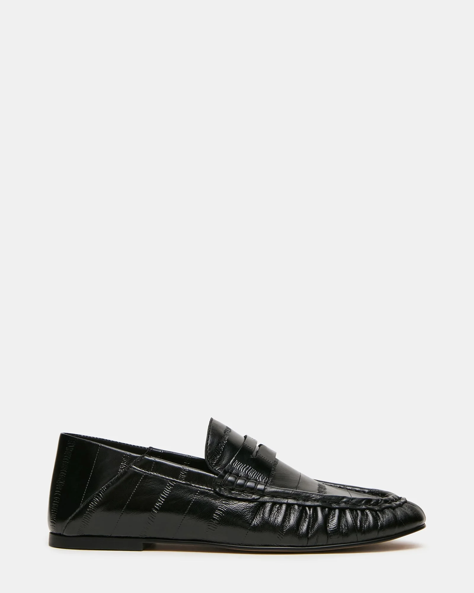 ROGER BLACK EEL - 1