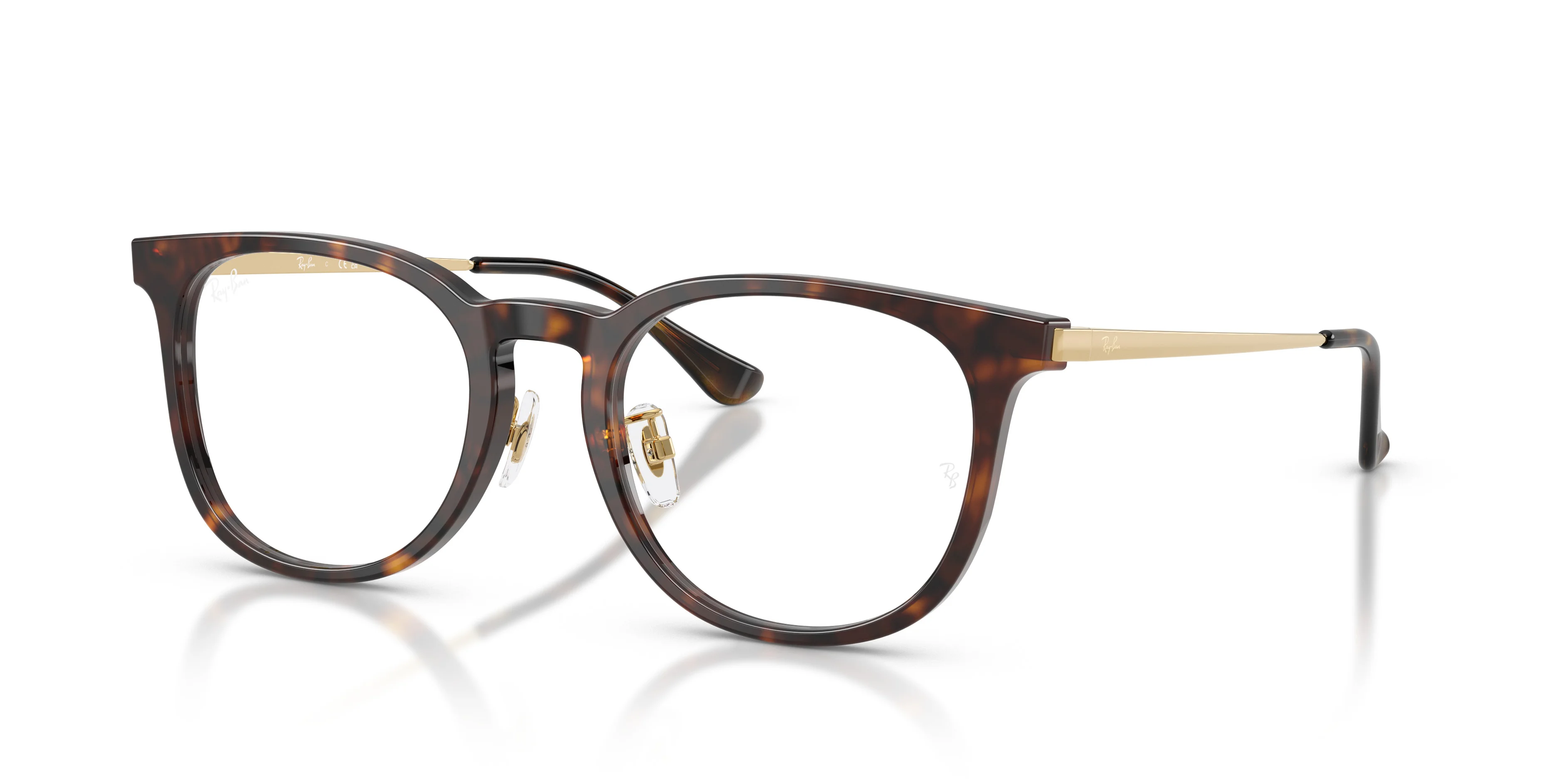 RB5453D OPTICS - 1