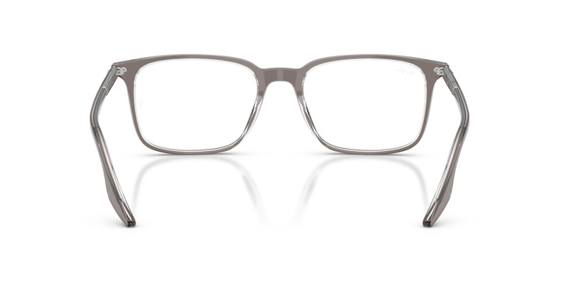 RB5421 OPTICS 6