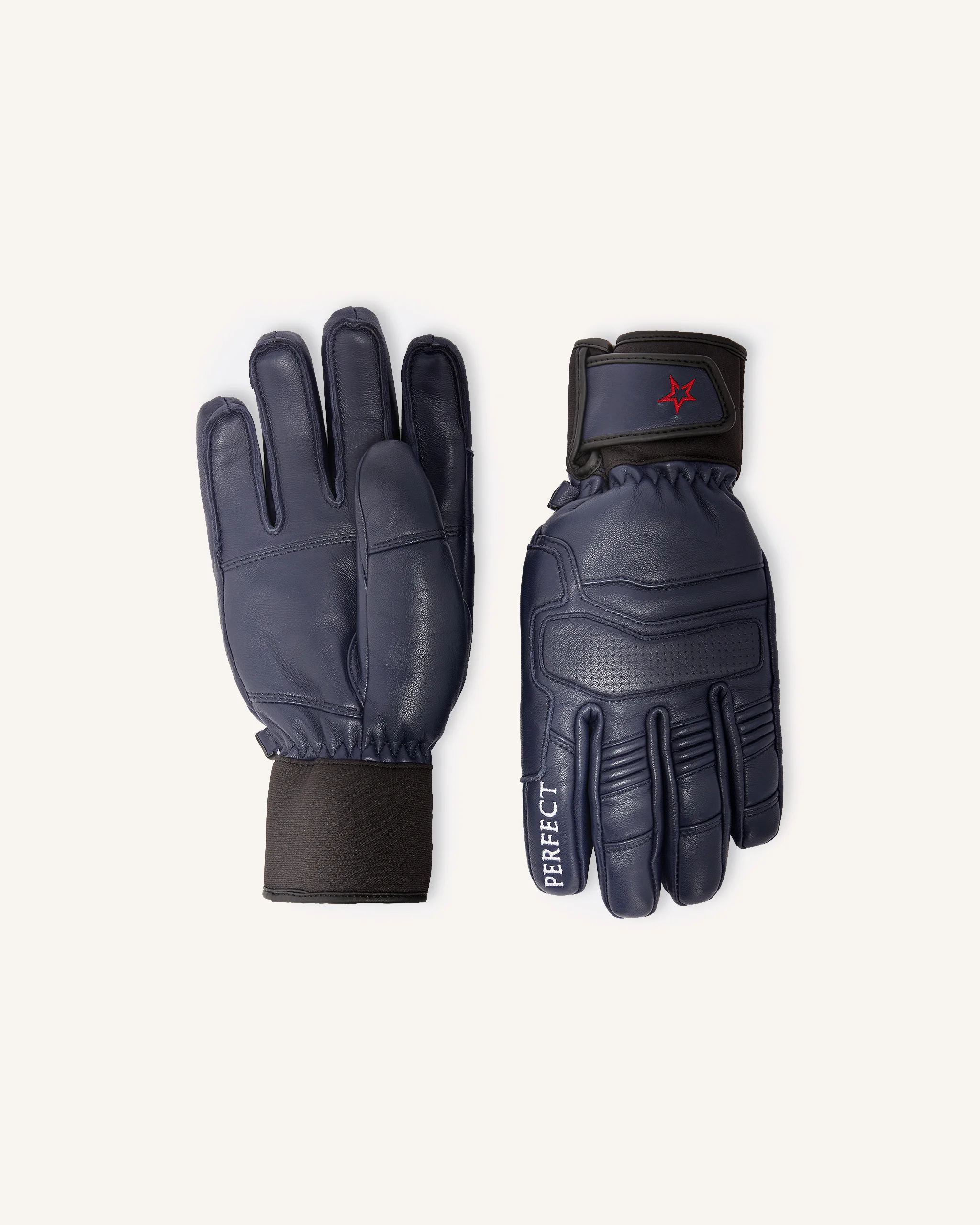 PM Ski Gloves - 1