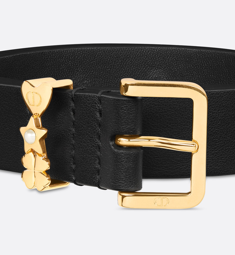 Lucky Dior Loop Belt 4