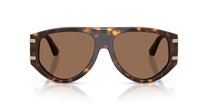 Dolce & Gabbana DG4499 outlook