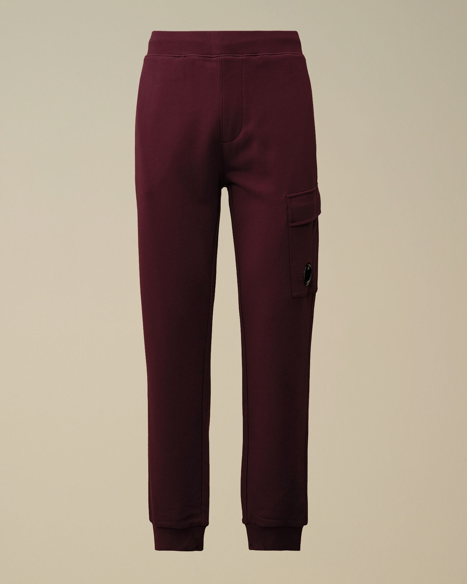 Diagonal Raised Fleece Cargo Sweatpants - 1
