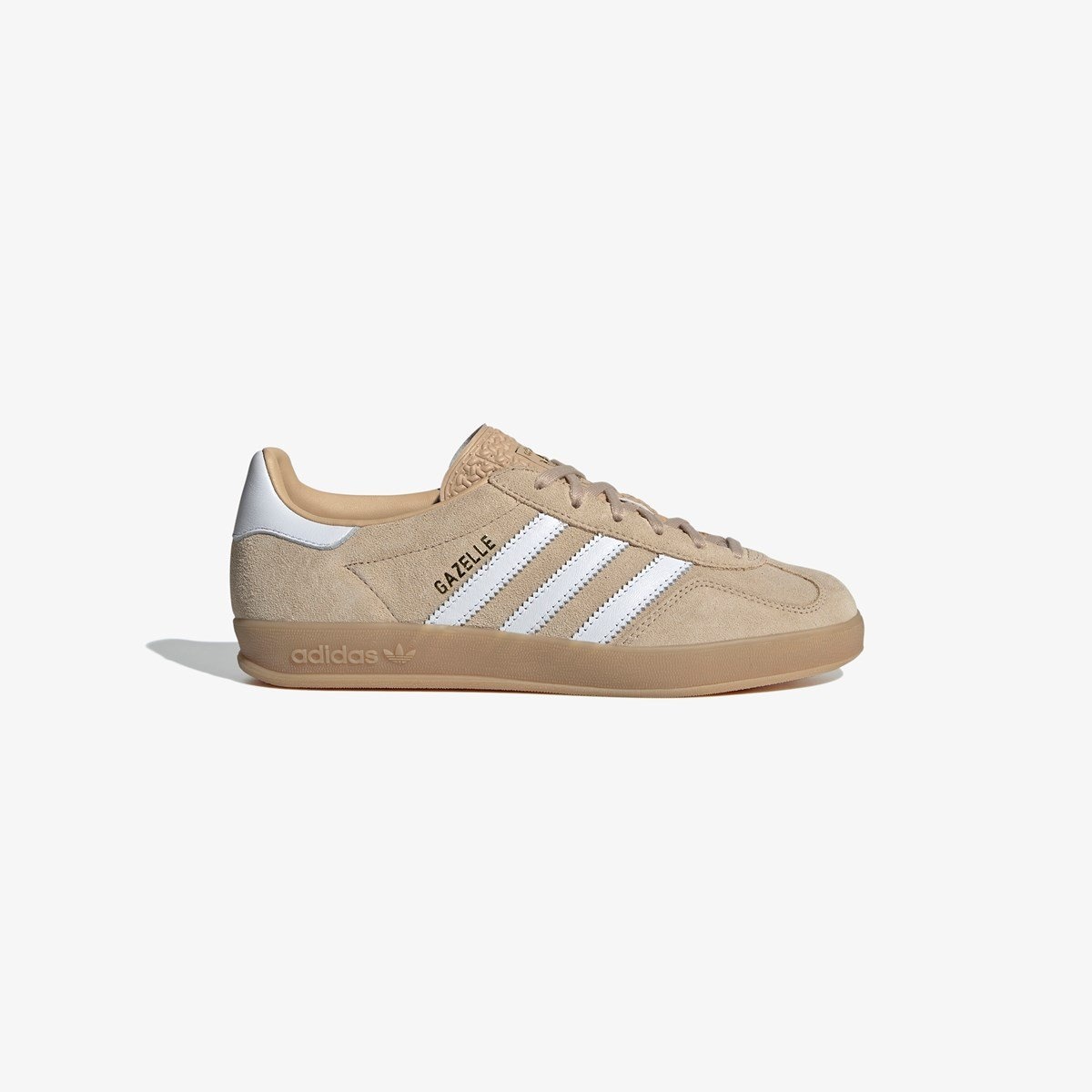 Gazelle Indoor - 1