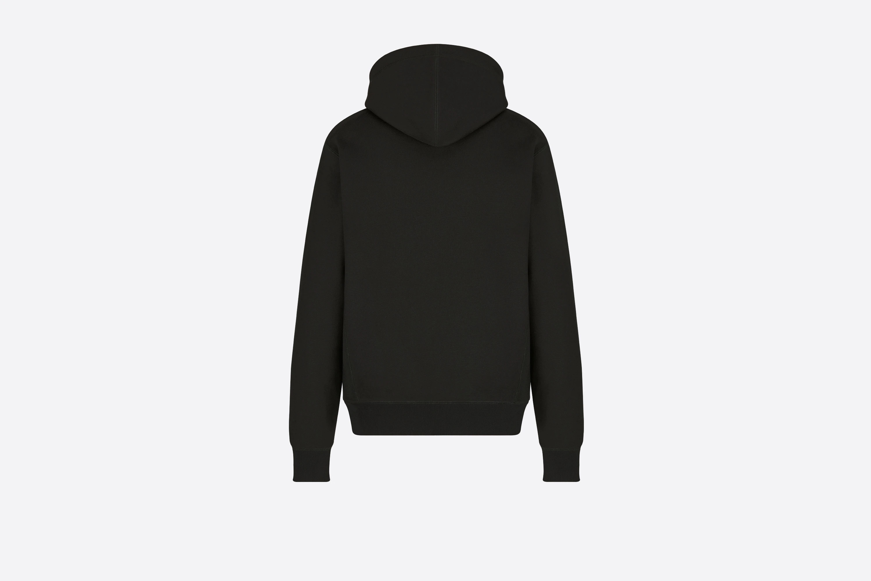 Oversized DIOR AND PETER DOIG Hooded Sweatshirt - 2