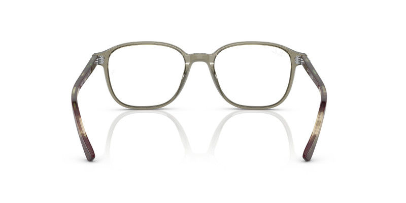LEONARD OPTICS 6