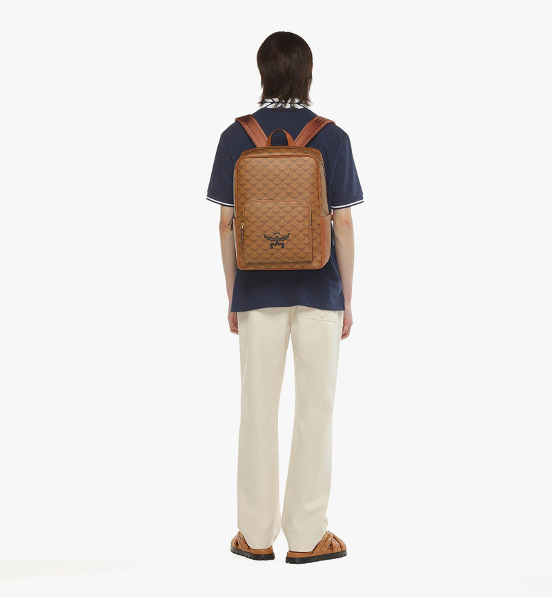Himmel Backpack in Lauretos 7
