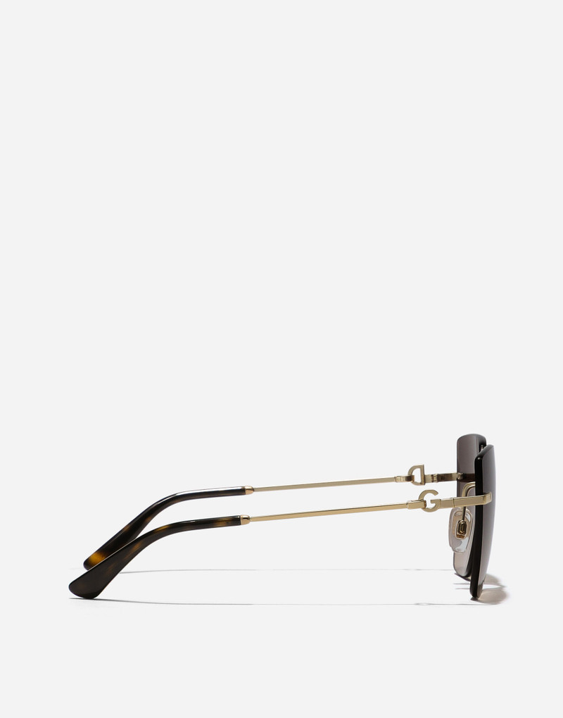 DG Flip Sunglasses 3