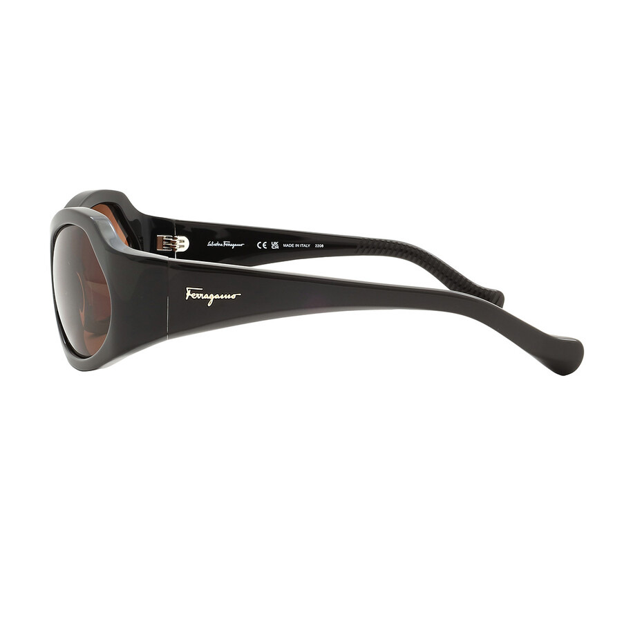 Salvatore Ferragamo Brown Wrap Ladies Sunglasses SF1078S 210 59 - 4
