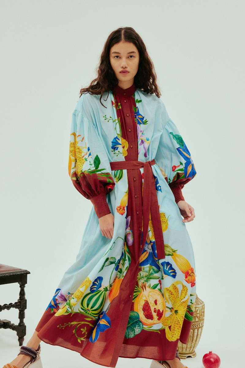 ALÉMAIS Dahlia Shirtdress outlook
