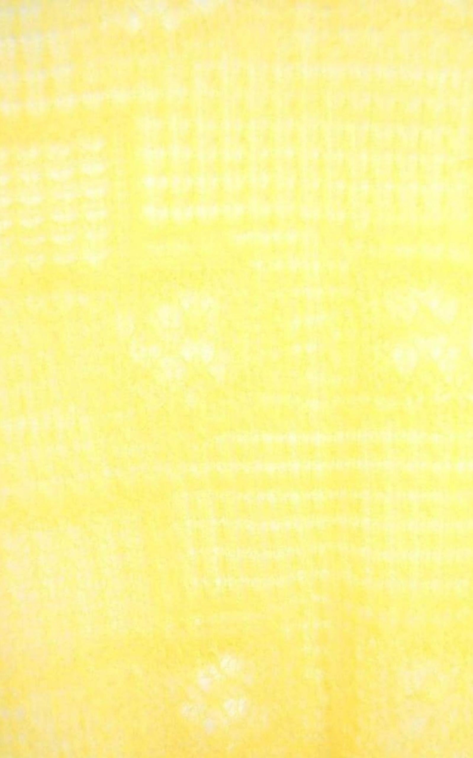 Yellow Silk Sheer Fine Knit T-Shirt - 2