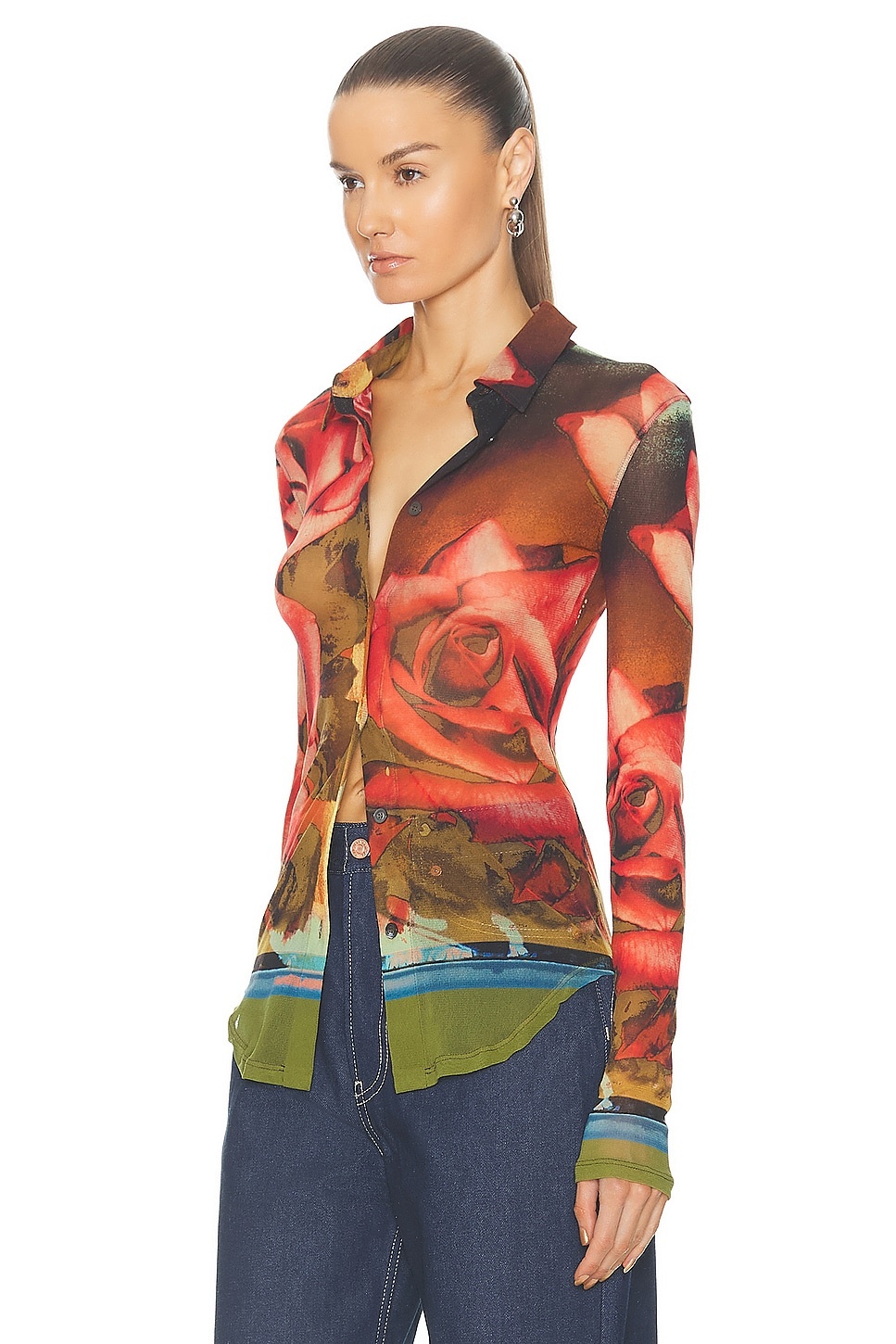 Roses Mesh Long Sleeve Top - 3