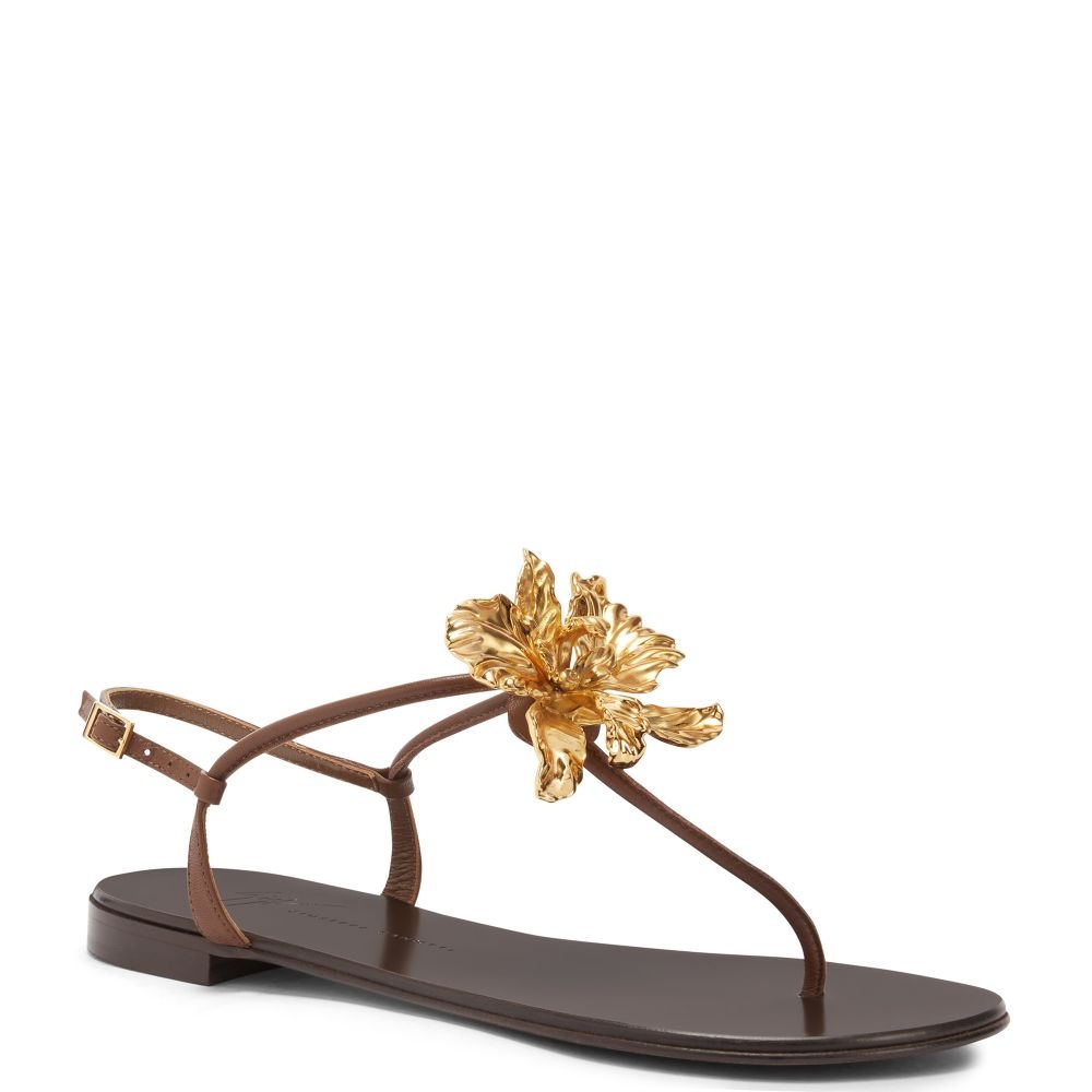 Orchid Flat - 2