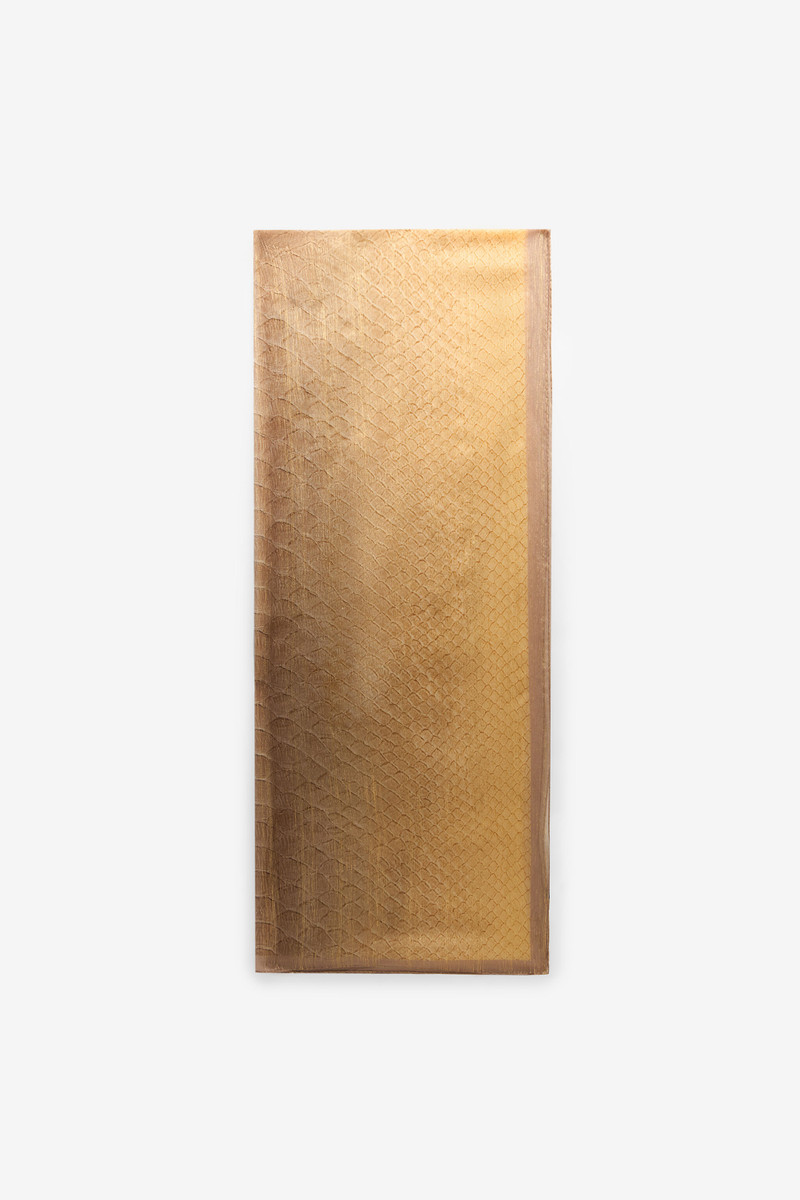 Beige-Gold Silk Stole with Scale Print 1