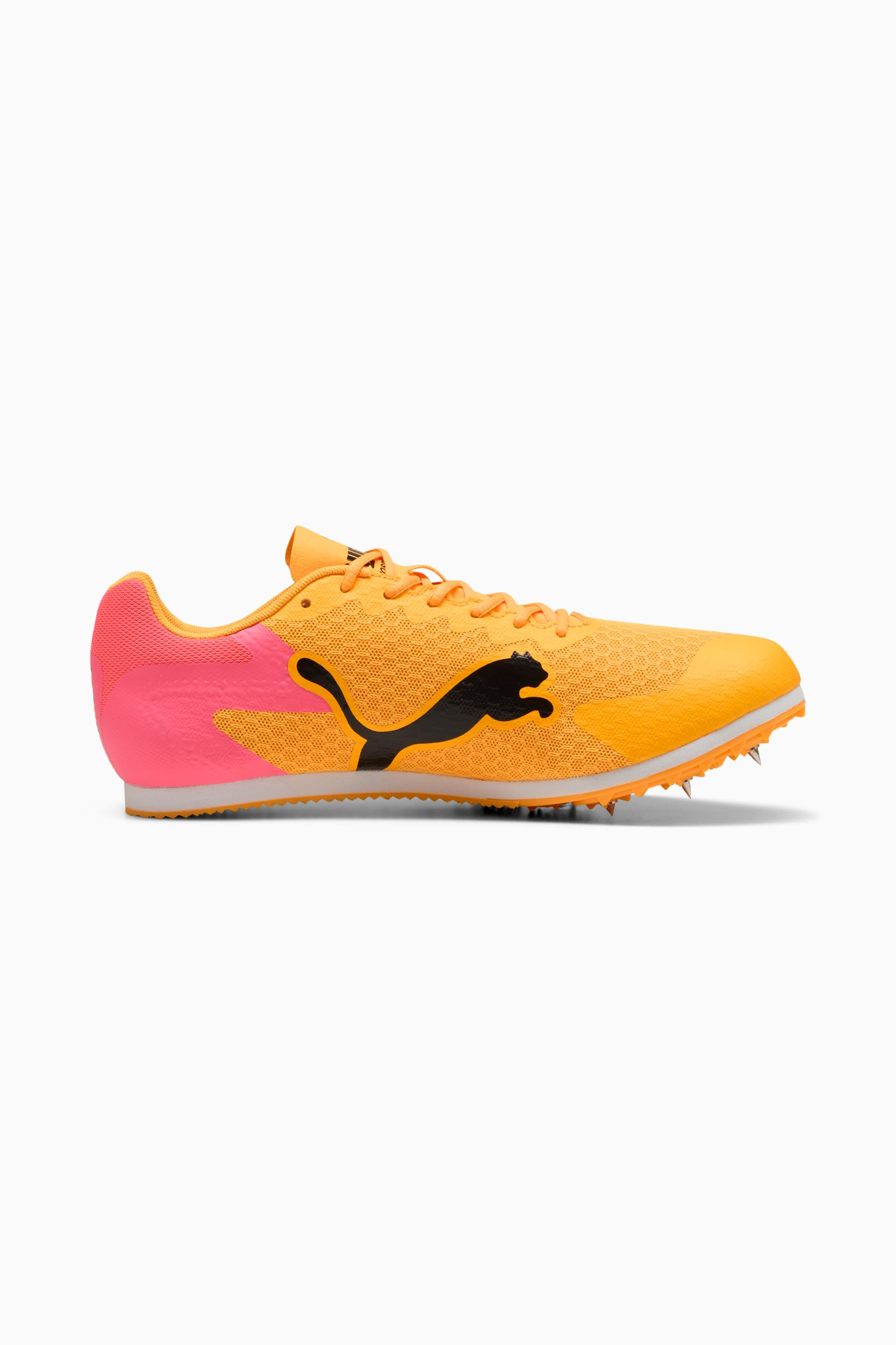 evoSPEED Star 9 Running Shoes - 5