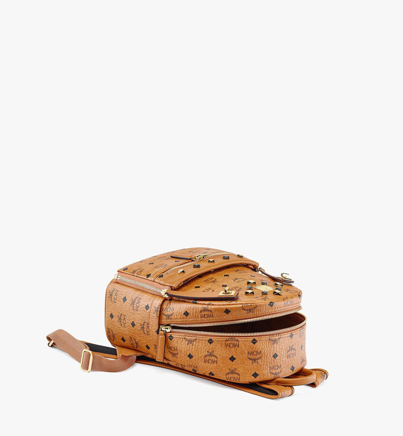 Retro Dual Stark Backpack in Visetos 4