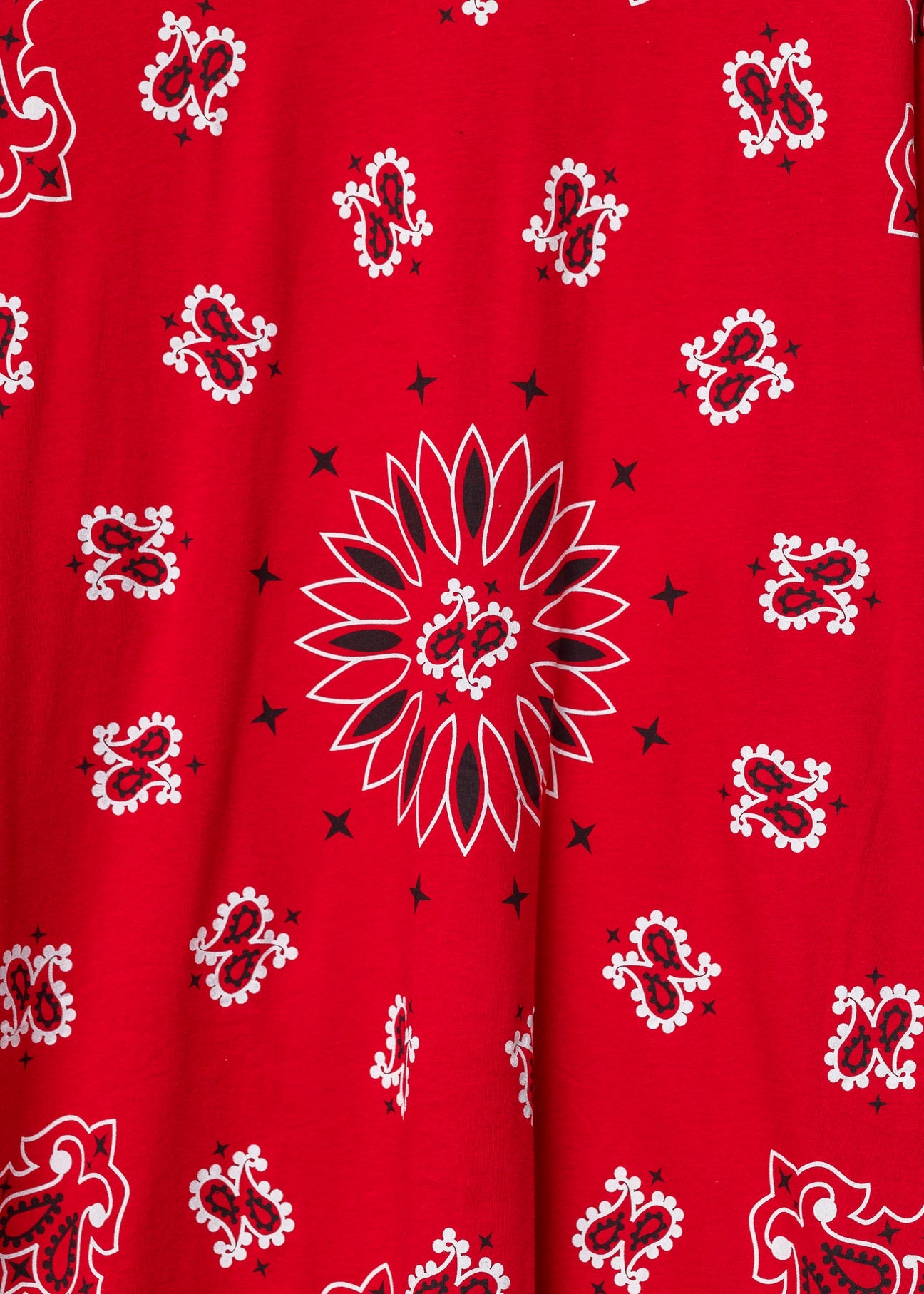 Supreme Red Paisley T-Shirt - 3