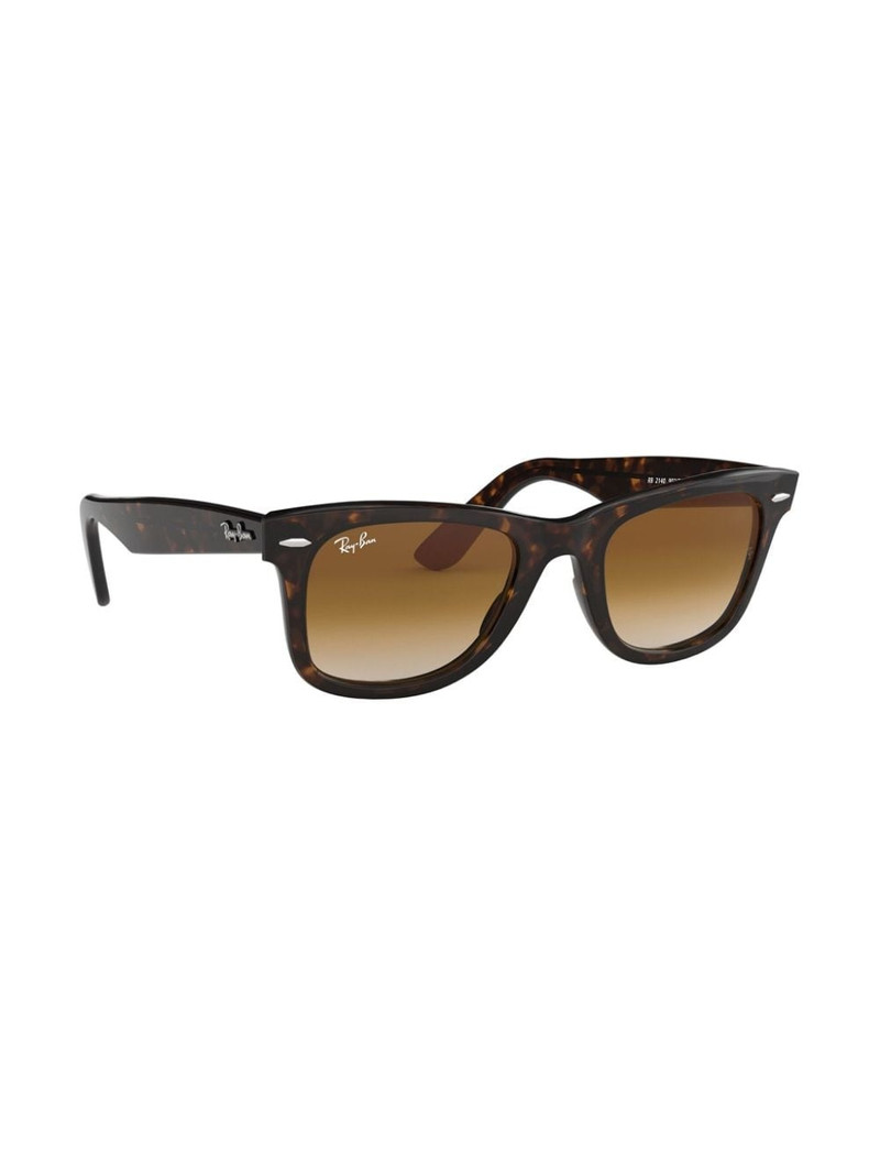 Ray-Ban Wayfarer sunglasses outlook